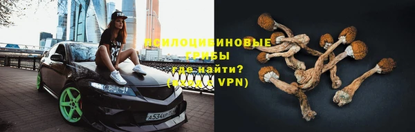 каннабис Дмитров