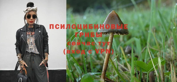 Альфа ПВП Дмитриев