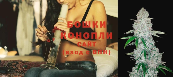 Альфа ПВП Дмитриев